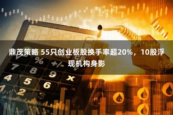 鼎茂策略 55只创业板股换手率超20%，10股浮现机构身影