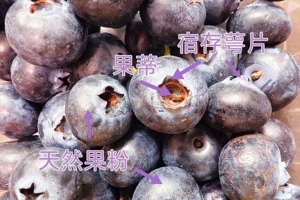 中金策略 这种水果价格腰斩，却被发现“肚脐眼”长霉菌，还能吃吗？