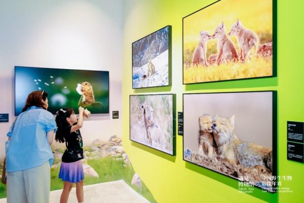 亿财配资 179余幅视觉佳作！这场摄影展让人一览世界众多珍稀动物
