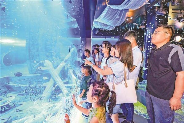 股管家 暑期文旅新地标焕彩登场 龙华“海立方” 开门迎客