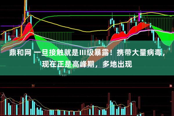 鼎和网 一旦接触就是Ⅲ级暴露！携带大量病毒，现在正是高峰期，多地出现